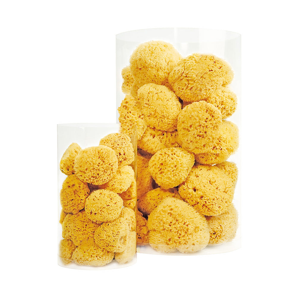 Schwammtonne Neptun
