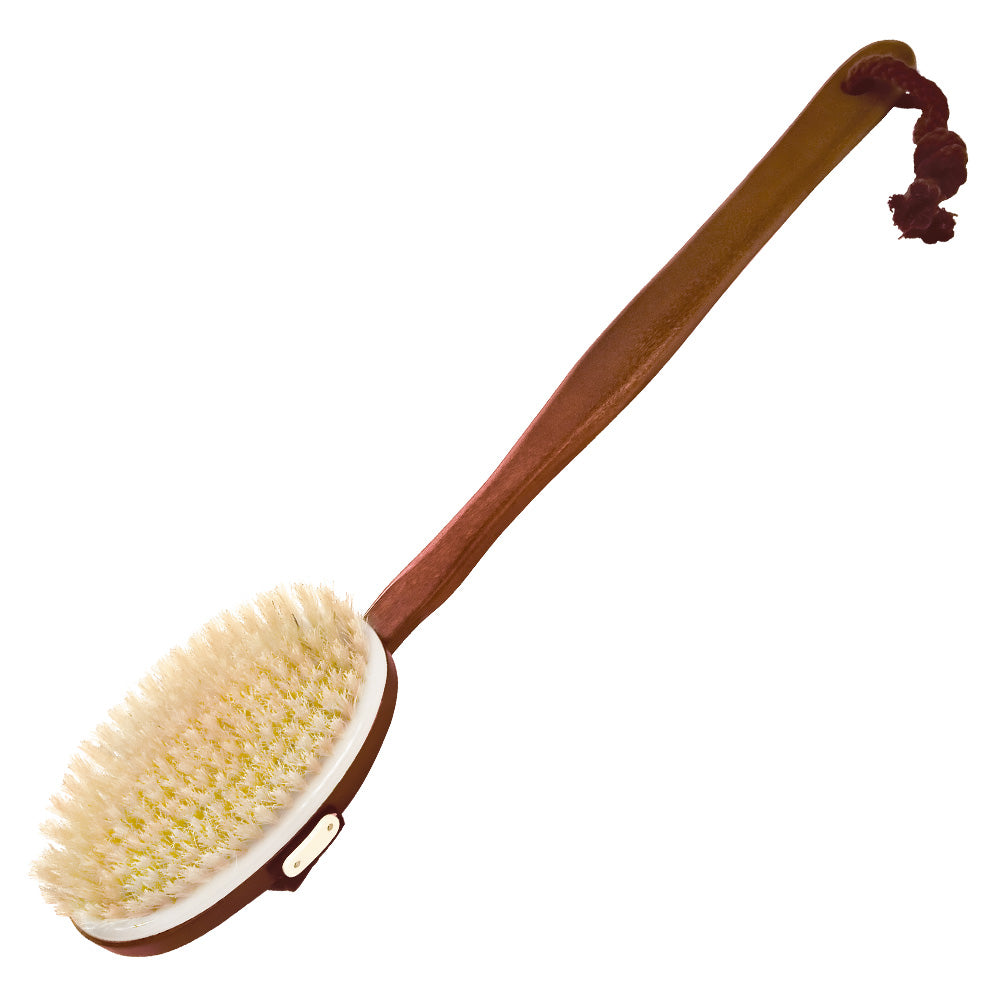 brosse de bain