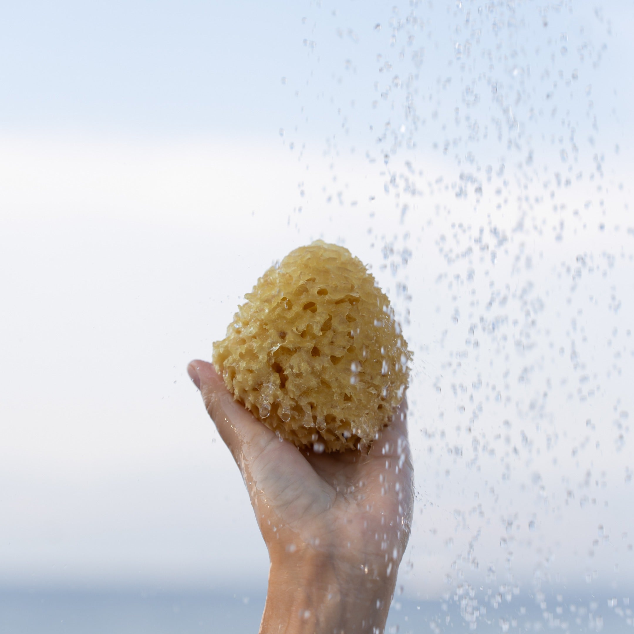 Was ist eine Everything Shower – und was braucht man wirklich dafür?