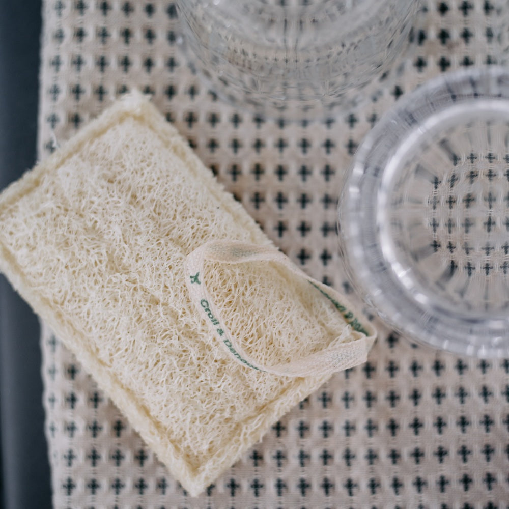 Luffa Spülschwamm