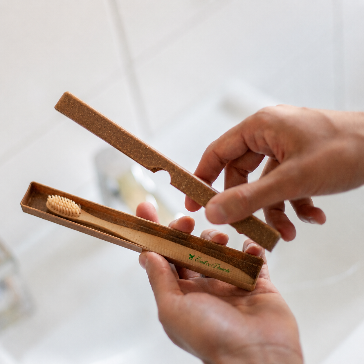Zahnbürstenbox Buche aus GREEN PE