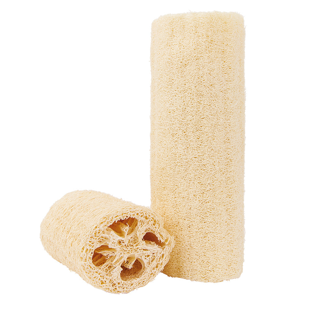 Luffa in verschiedenen Größen