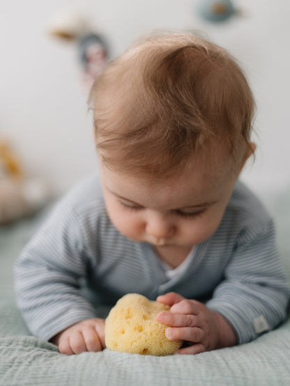 Babyschwamm in Geschenkbox