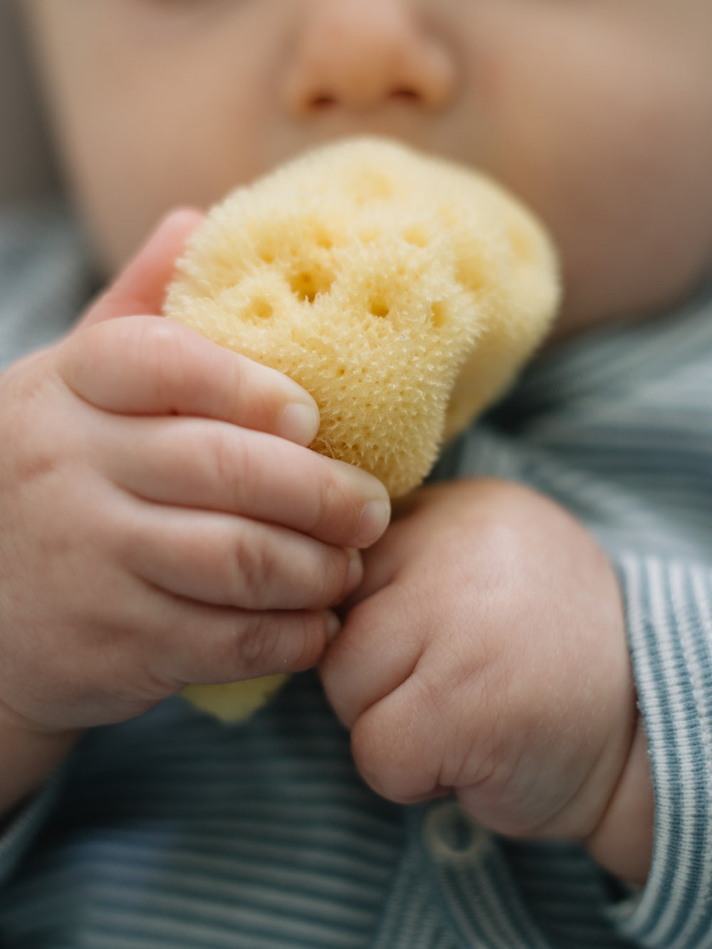 Babyschwamm in Geschenkbox