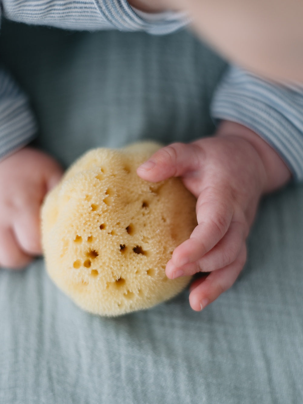 Babyschwamm in Geschenkbox