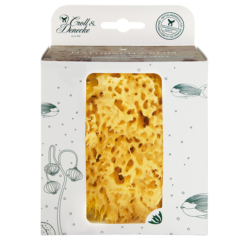 Naturschwamm in Geschenkbox