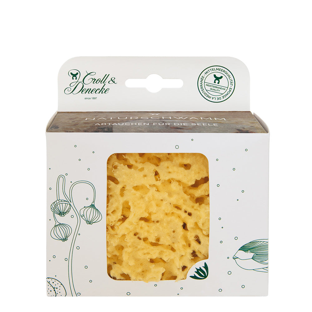 Naturschwamm in Geschenkbox