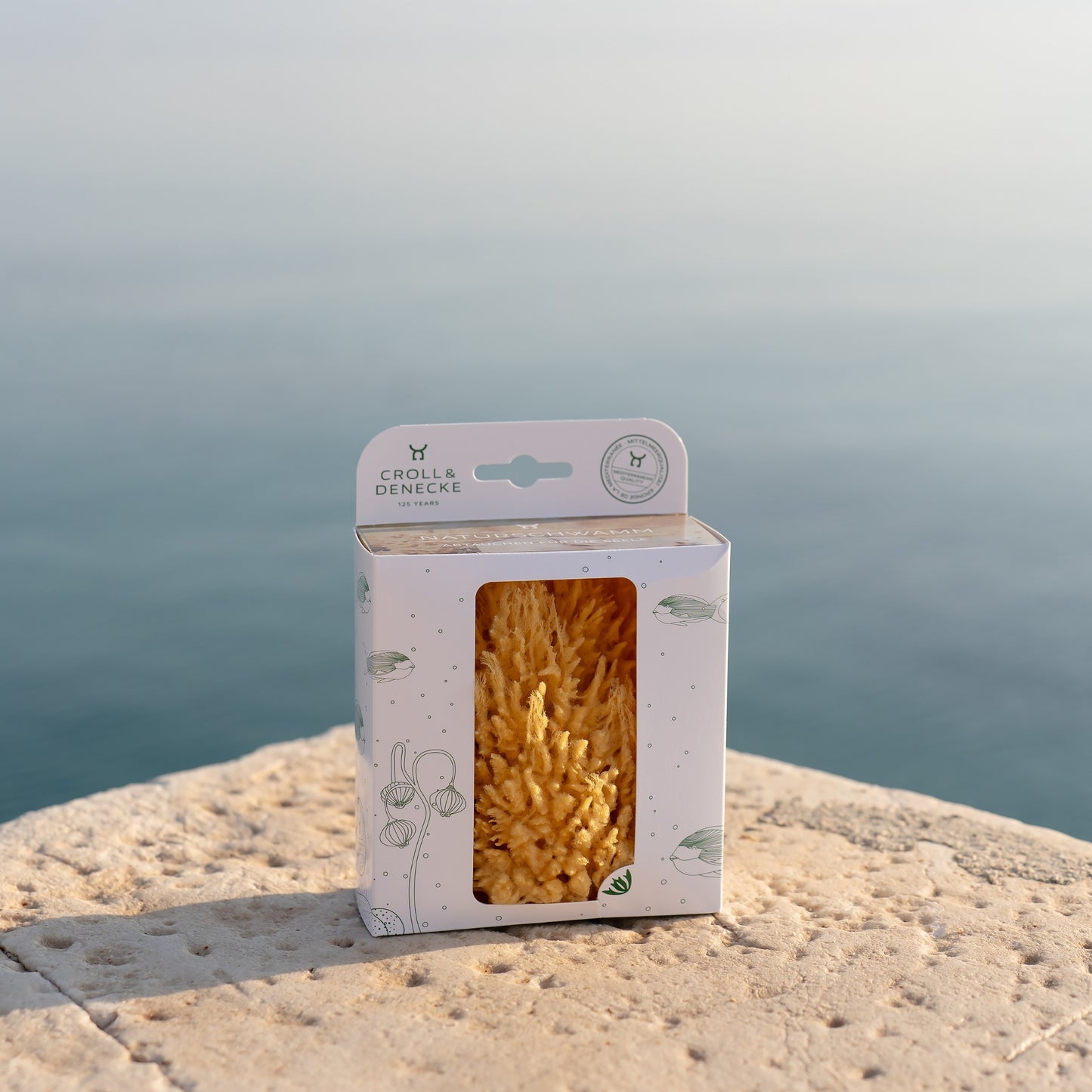 Naturschwamm in Geschenkbox
