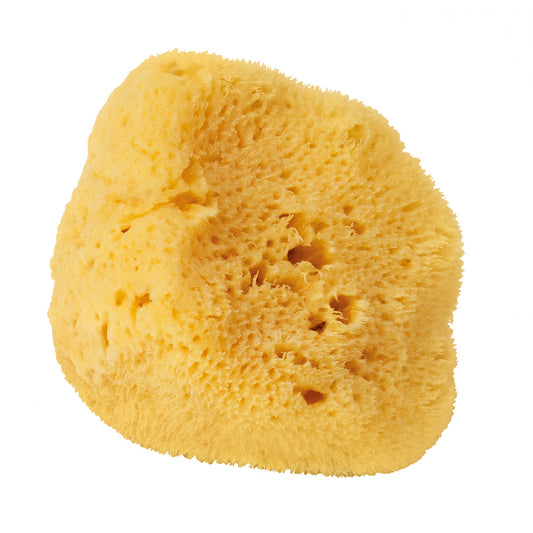 Levantiner Silk Schwamm