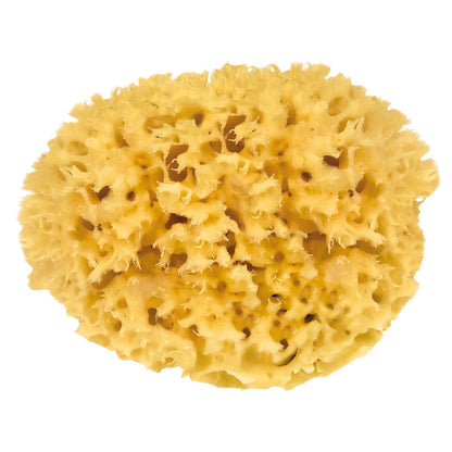 Naturschwamm Medium