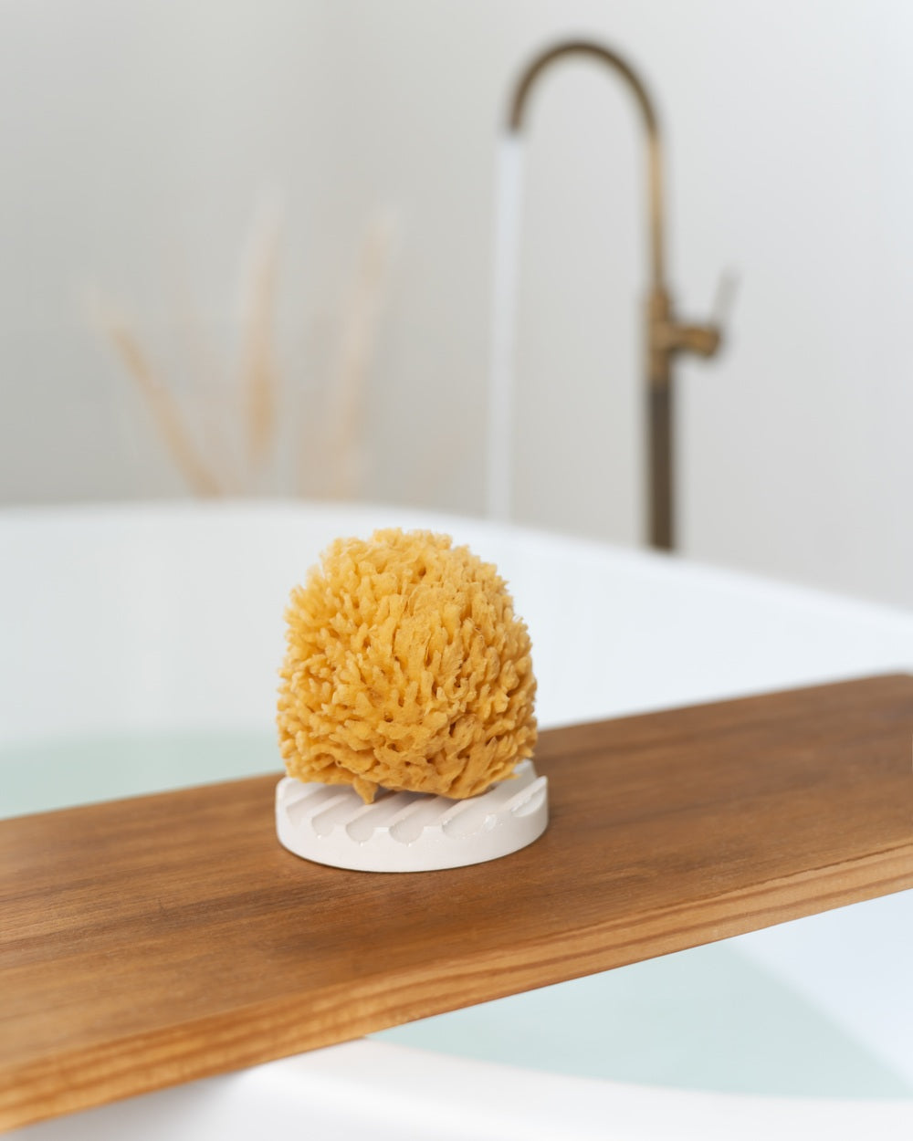 Naturschwamm in Geschenkbox